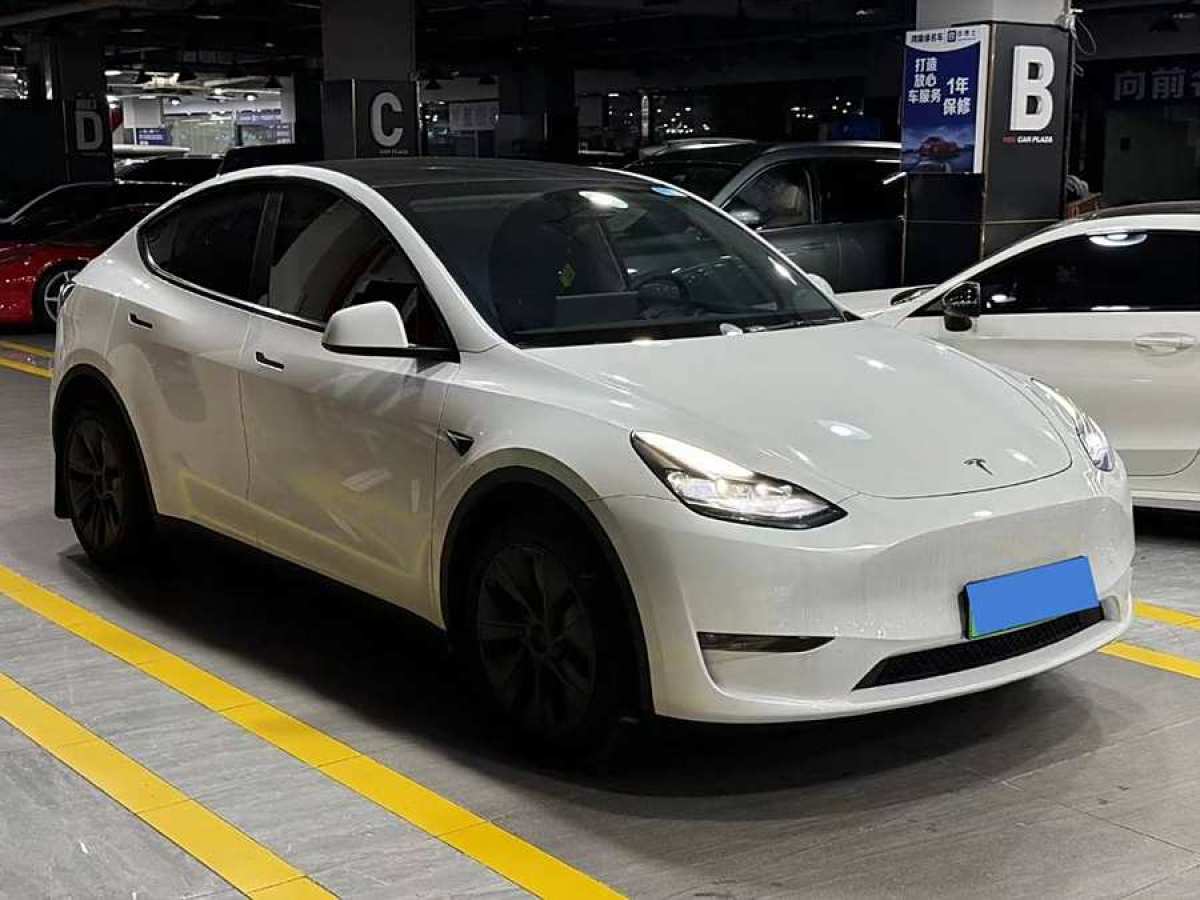 特斯拉 Model Y  2024款 長續(xù)航全輪驅(qū)動版圖片