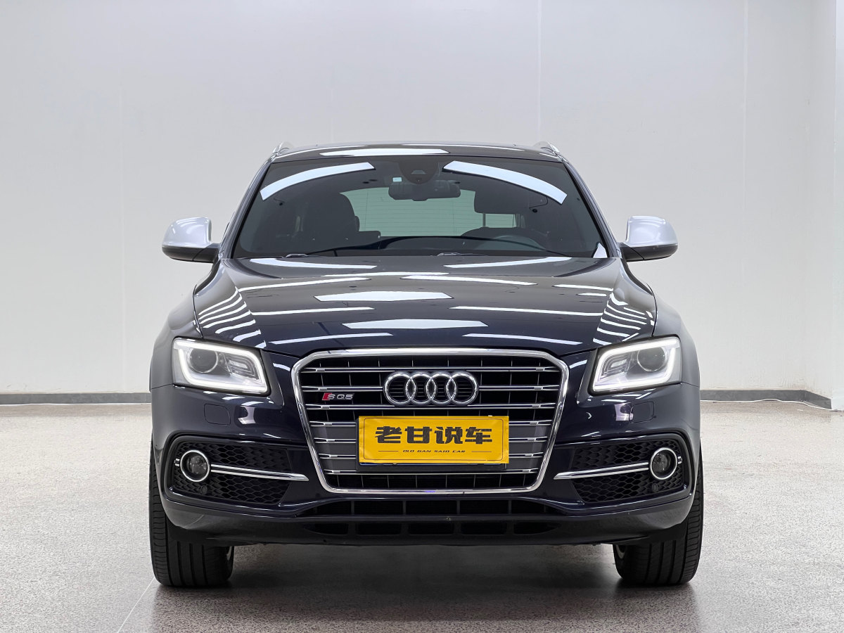 奧迪 奧迪SQ5  2014款 SQ5 3.0 TFSI quattro圖片