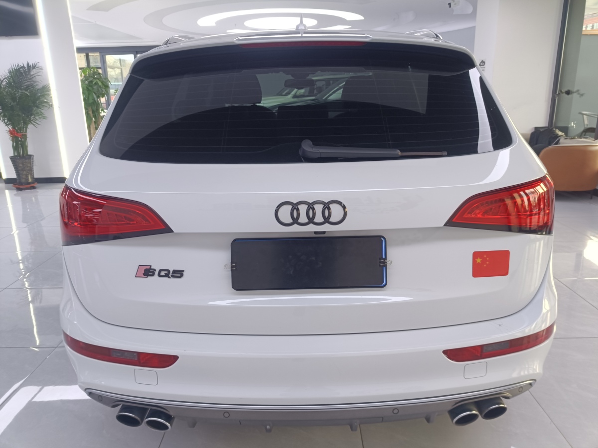 奧迪 奧迪SQ5  2014款 SQ5 3.0 TFSI quattro圖片