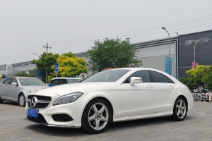 奔馳CLS級 奔馳 CLS 260逸彩版