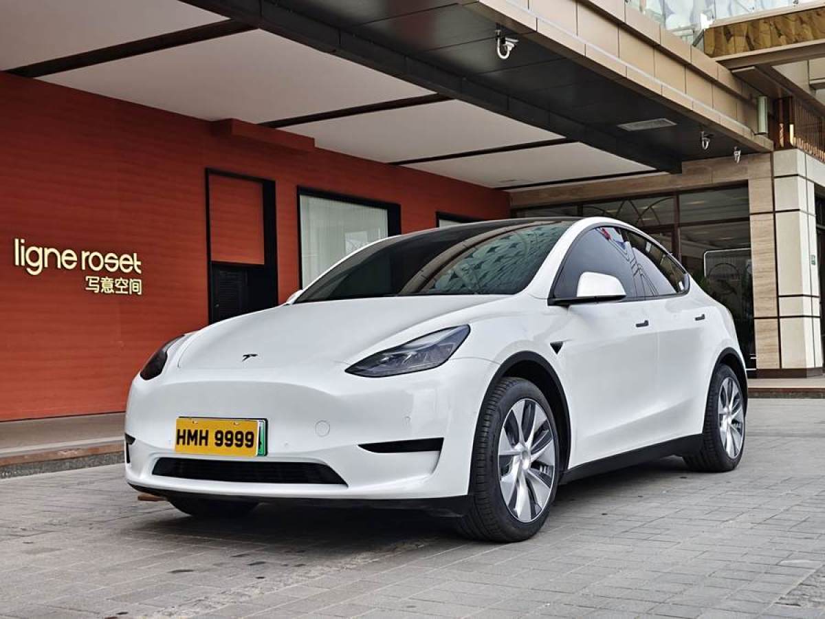 特斯拉 Model 3  2020款 改款 長續(xù)航后輪驅動版圖片