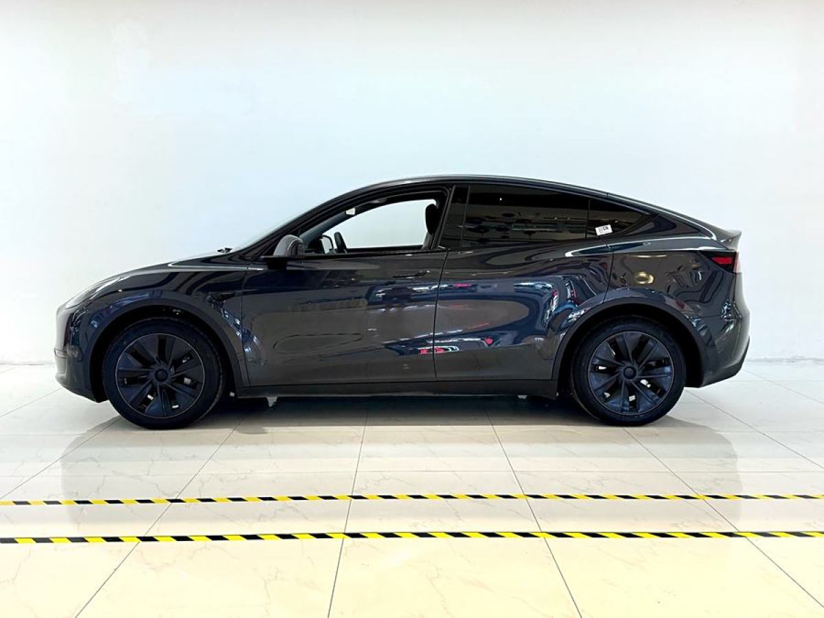 特斯拉 Model Y  2020款 改款 長續(xù)航后輪驅(qū)動版圖片