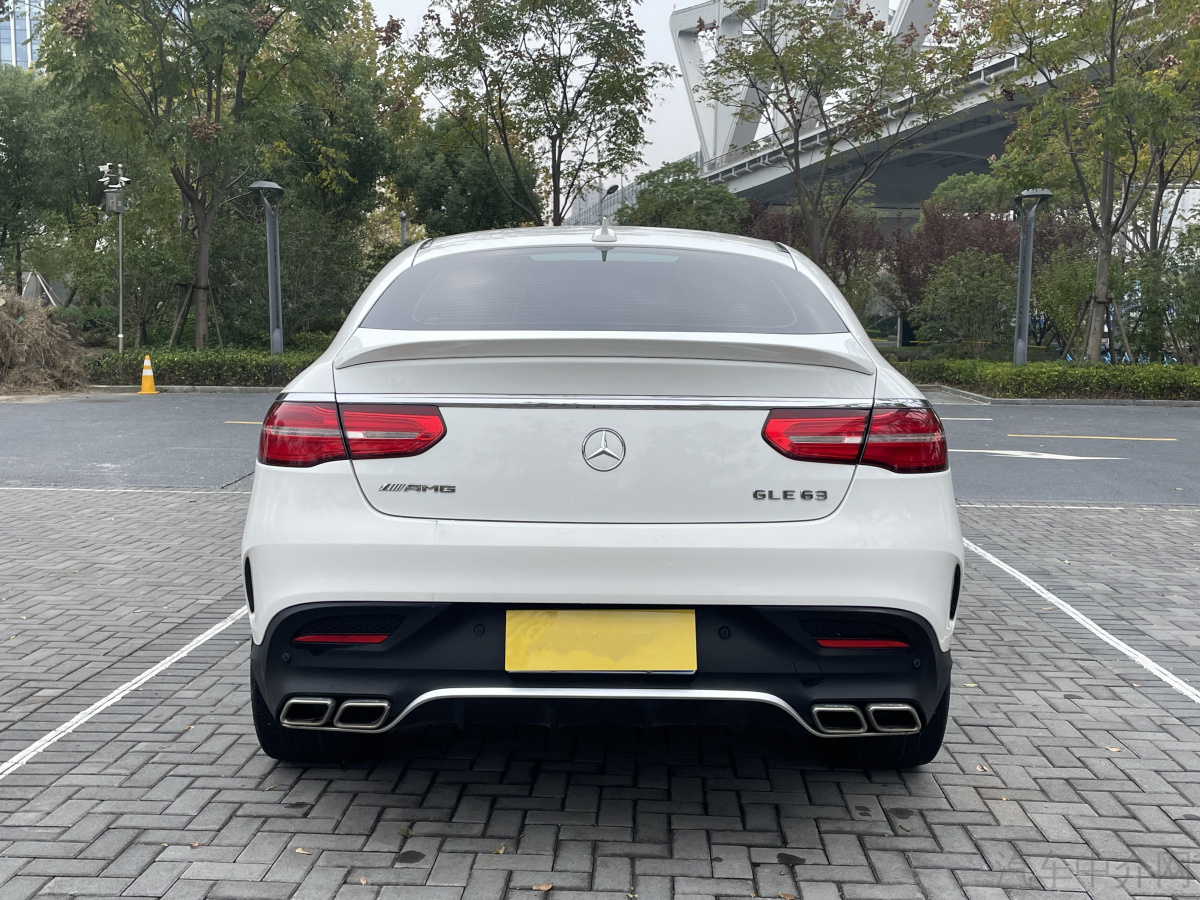 奔驰 奔驰GLE  2018款 GLE 320 4MATIC 动感型臻藏版图片