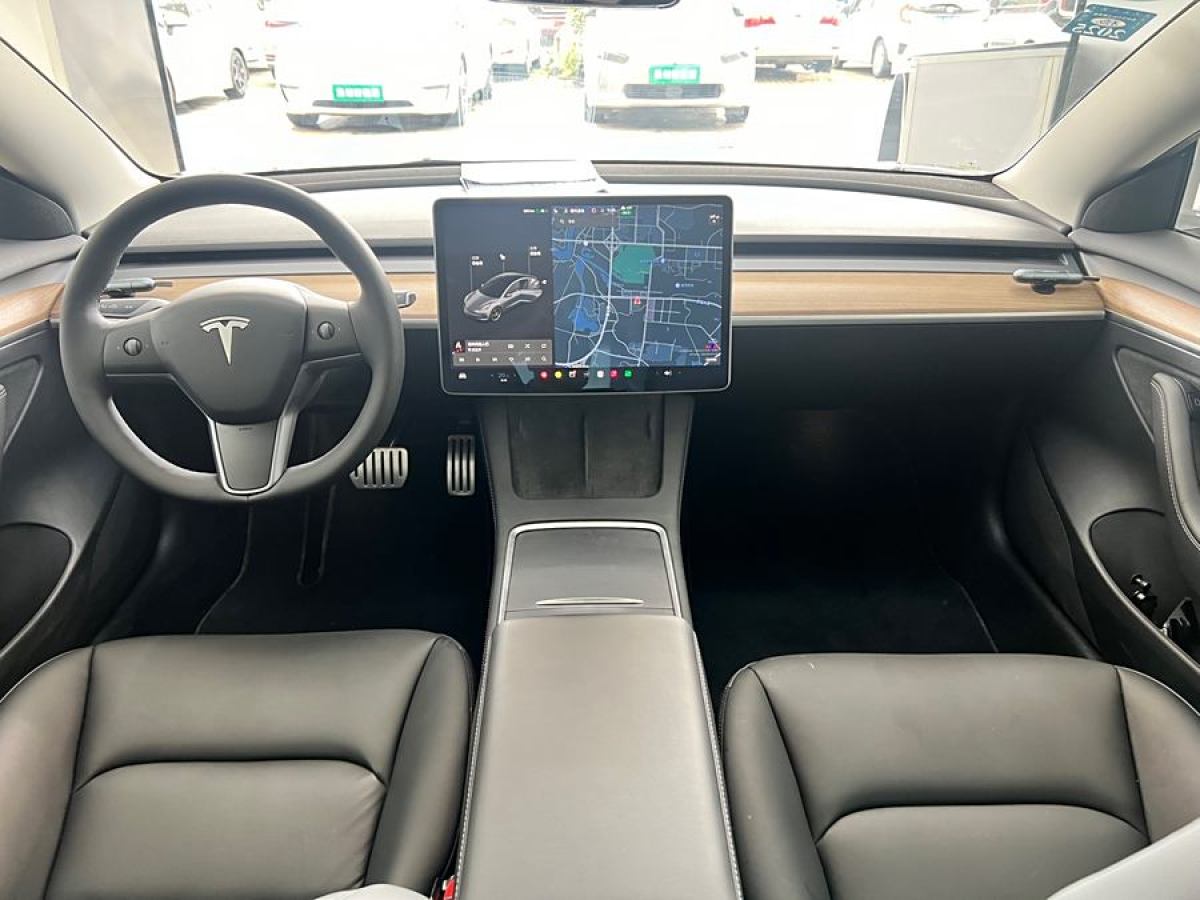 特斯拉 Model 3  2021款 Performance高性能全輪驅(qū)動版圖片