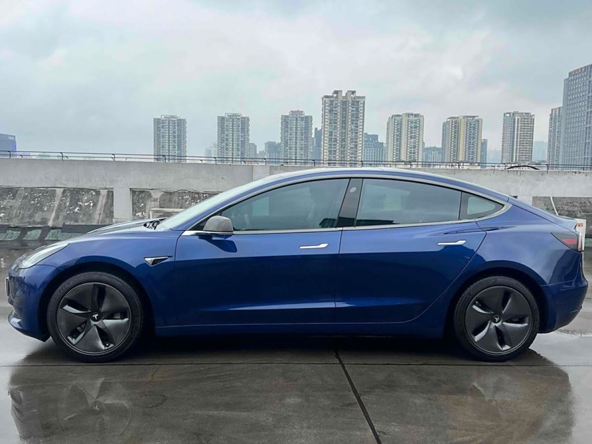 特斯拉 Model 3  2020款 改款 標準續(xù)航后驅(qū)升級版圖片