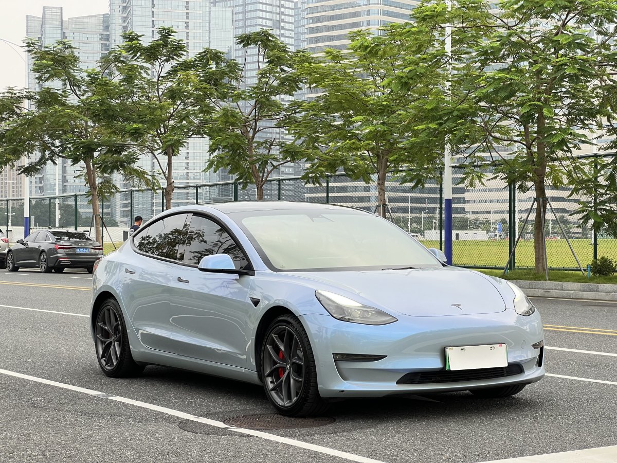 特斯拉 Model 3  2021款 Performance高性能全輪驅(qū)動(dòng)版 3D6圖片