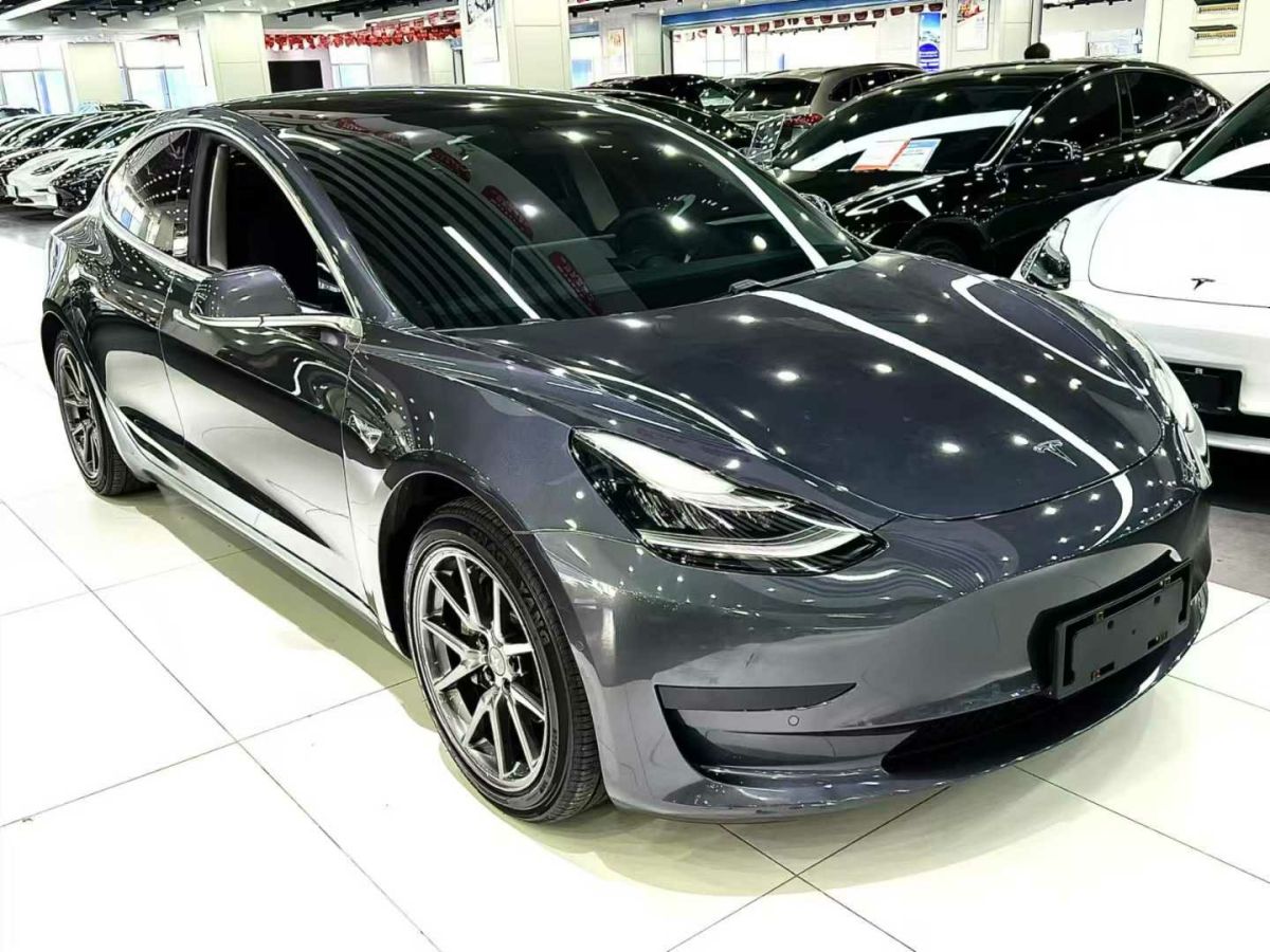 特斯拉 Model 3  2020款 標準續(xù)航后驅(qū)升級版圖片