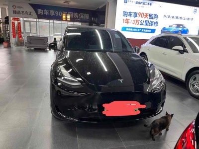 2023年3月 特斯拉 Model 3 改款 Performance高性能全輪驅(qū)動(dòng)版圖片