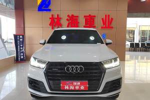 奥迪Q7 奥迪 45 TFSI 尊贵型