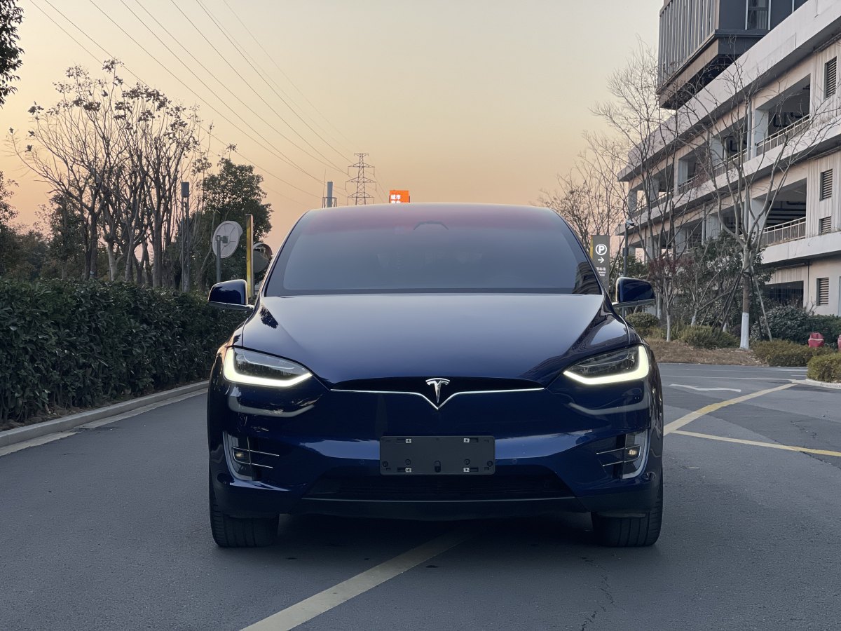 特斯拉 Model X  2017款 Model X 100D 長續(xù)航版圖片