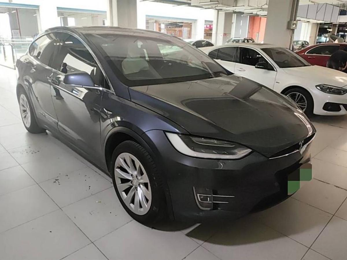 2019年11月特斯拉 Model X  2019款 長續(xù)航版