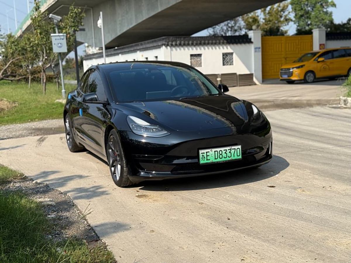 2021年3月特斯拉 Model 3  2021款 Performance高性能全輪驅(qū)動版