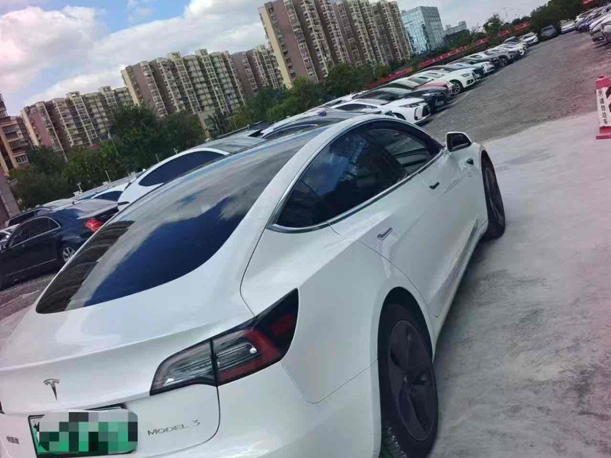 特斯拉 Model 3  2019款 标准续航后驱升级版图片