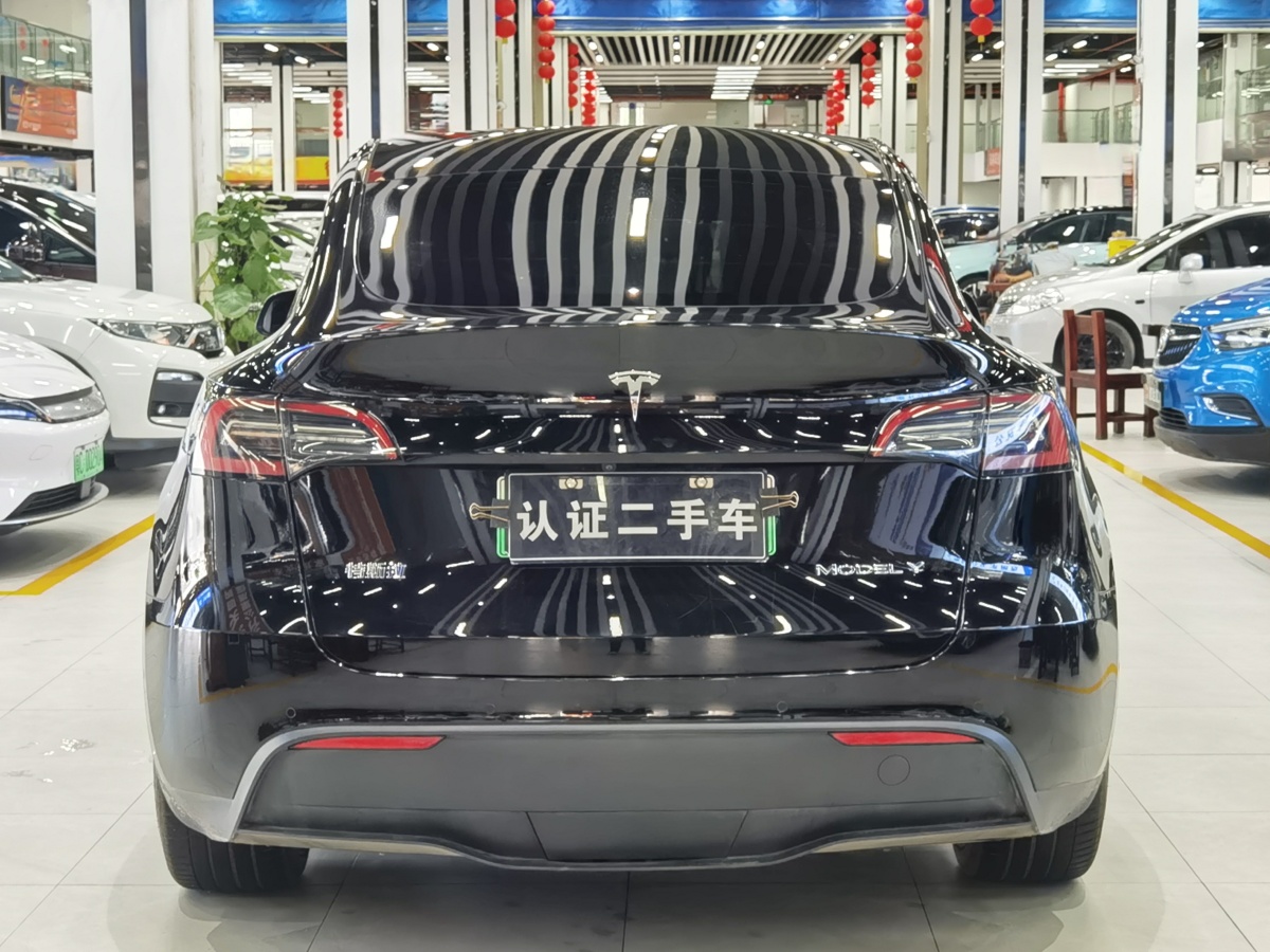 特斯拉 Model Y  2020款 改款 長續(xù)航后輪驅(qū)動版圖片