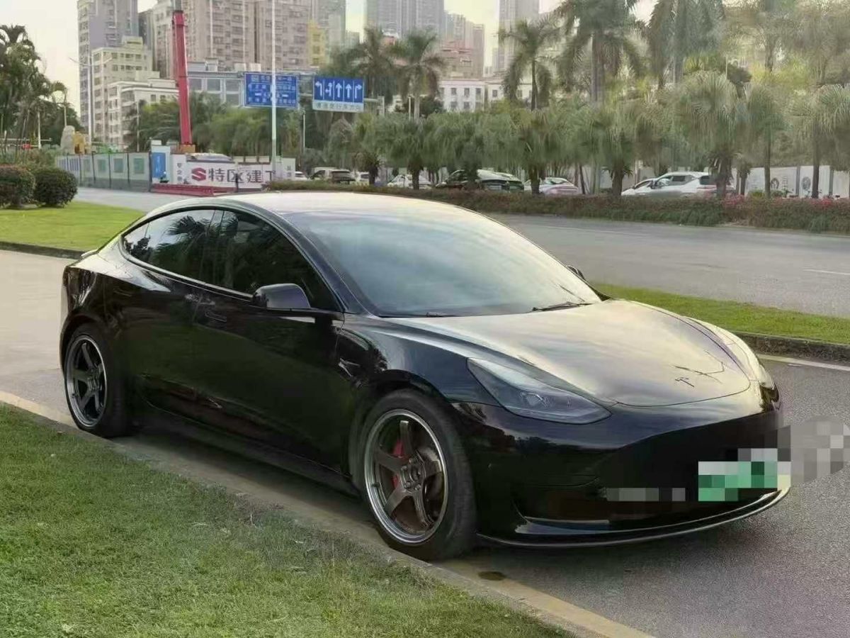 特斯拉 Model 3  2022款 Performance高性能全輪驅(qū)動版圖片