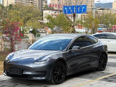 2020年1月 特斯拉 Model 3 標(biāo)準(zhǔn)續(xù)航后驅(qū)升級(jí)版圖片