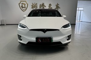 Model X 特斯拉 Model X P90D