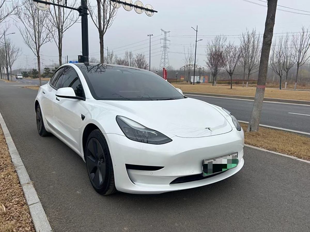 特斯拉 Model 3  2021款 改款 標(biāo)準(zhǔn)續(xù)航后驅(qū)升級版圖片