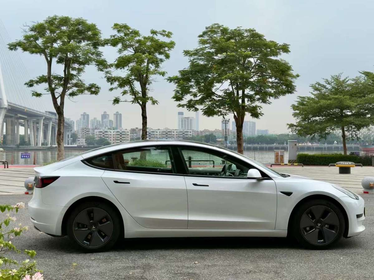 特斯拉 Model 3  2019款 標準續(xù)航后驅升級版圖片