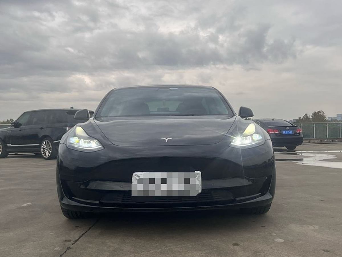 特斯拉 Model 3  2021款 改款 標(biāo)準(zhǔn)續(xù)航后驅(qū)升級(jí)版圖片