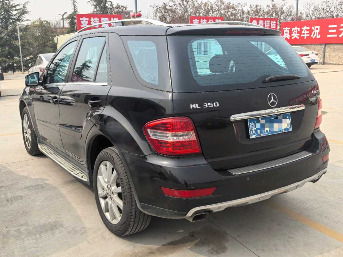 奔馳 奔馳M級(jí)  2010款 ML 350 4MATIC豪華型圖片