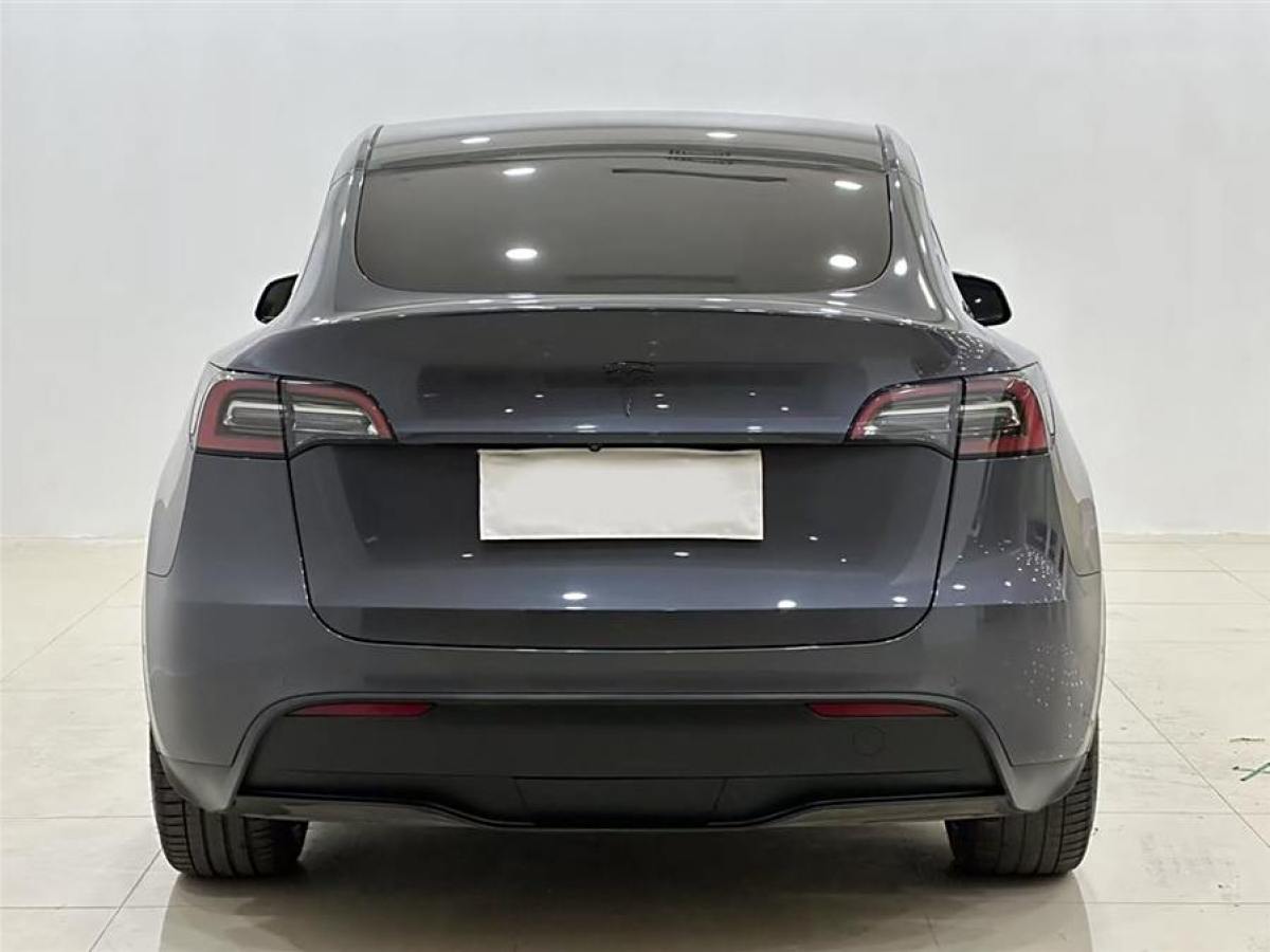 特斯拉 Model 3  2021款 改款 標(biāo)準(zhǔn)續(xù)航后驅(qū)升級(jí)版圖片