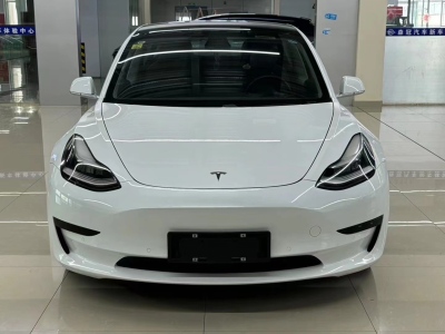 2021年01月 特斯拉 Model 3 改款 標(biāo)準(zhǔn)續(xù)航后驅(qū)升級(jí)版圖片