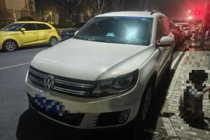 途觀 大眾 L 330TSI DSG兩驅(qū)R-Line旗艦版