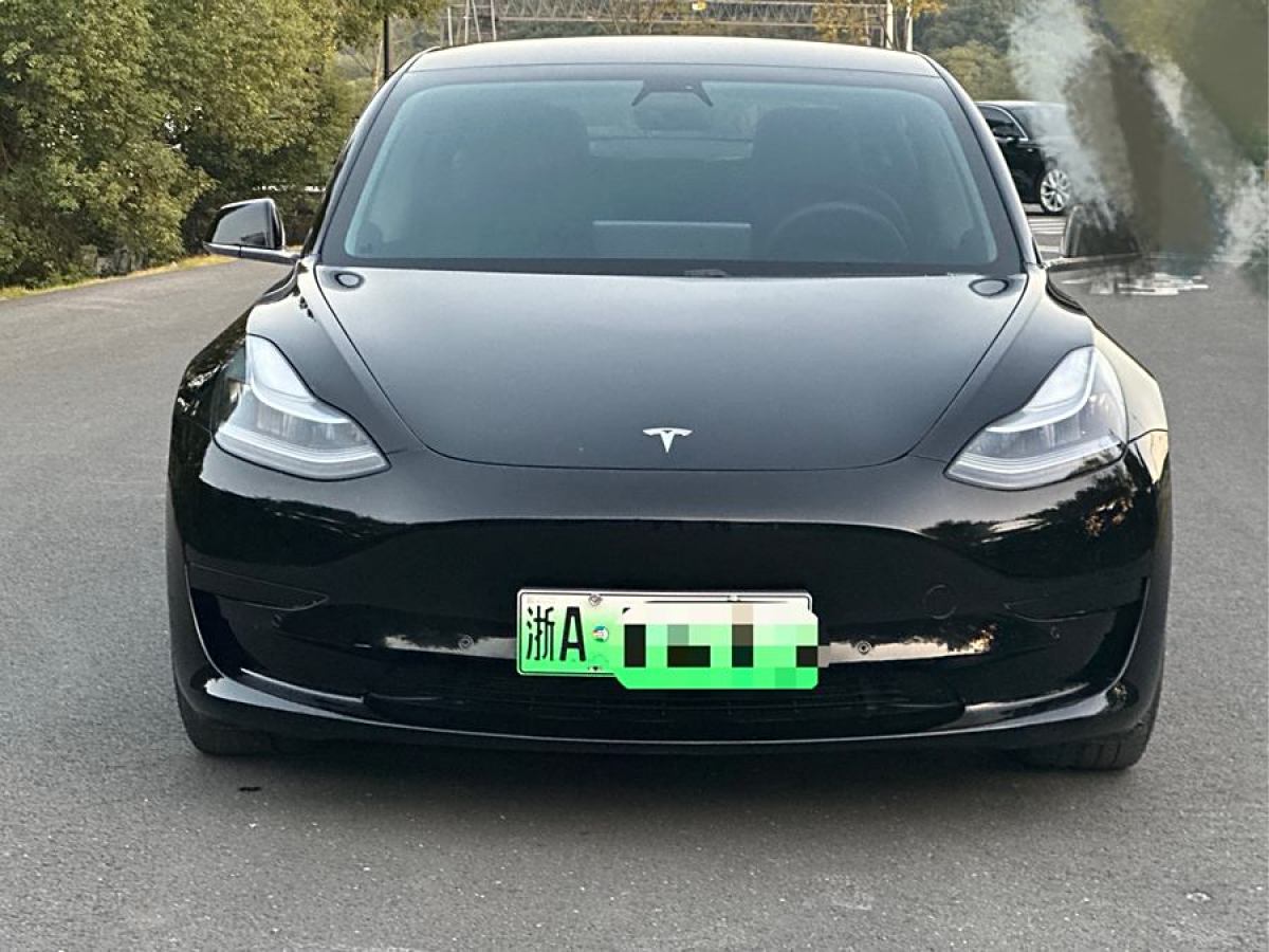 特斯拉 Model 3  2021款 改款 標(biāo)準(zhǔn)續(xù)航后驅(qū)升級版圖片