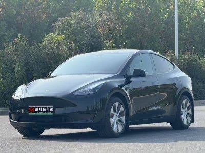 2023年2月 特斯拉 Model Y 改款 長續(xù)航后輪驅動版圖片