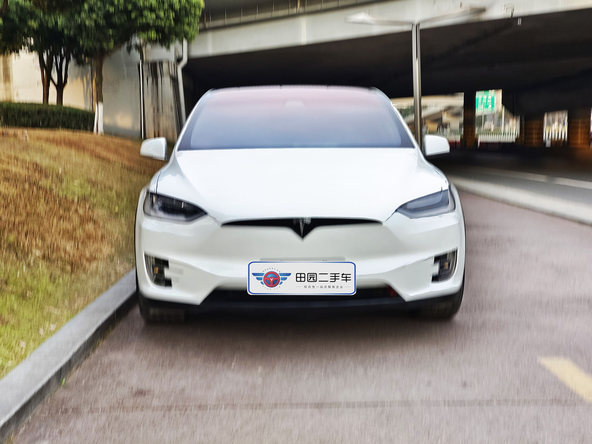 2019年2月特斯拉 Model X  2017款 Model X 100D 長(zhǎng)續(xù)航版