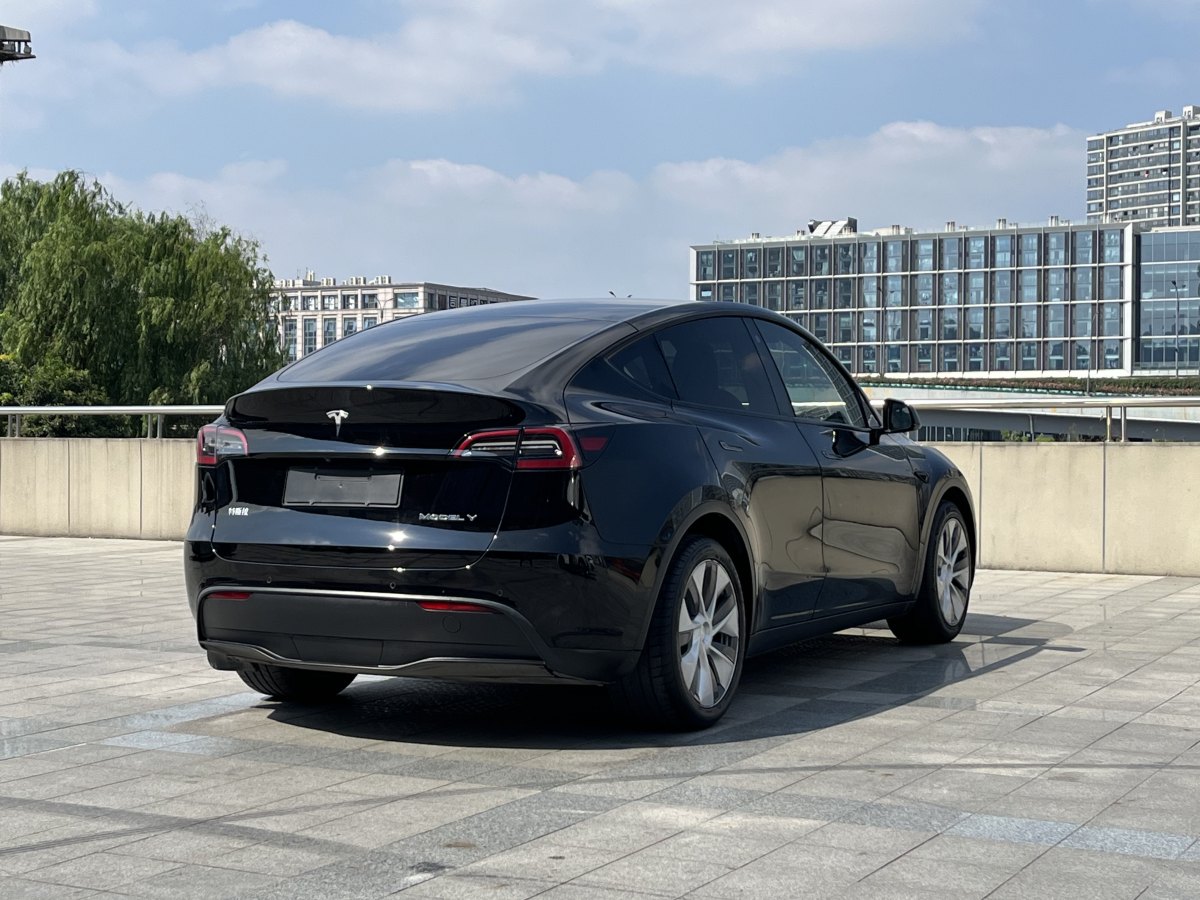 特斯拉 Model Y  2021款 改款 標準續(xù)航后驅升級版圖片