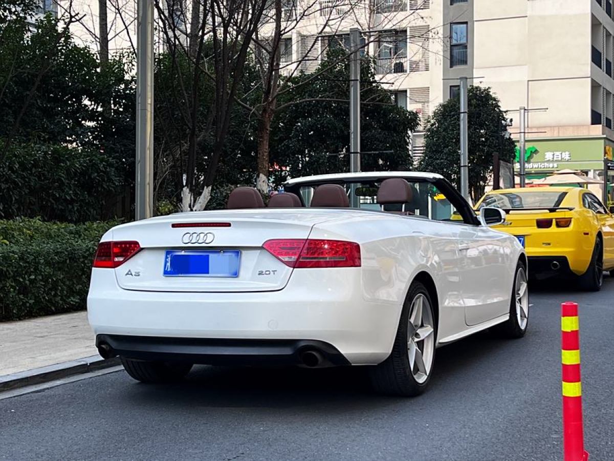 奧迪 奧迪A5  2010款 2.0TFSI Cabriolet圖片