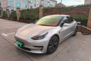 Model Y 特斯拉 Performance高性能全輪驅(qū)動(dòng)版