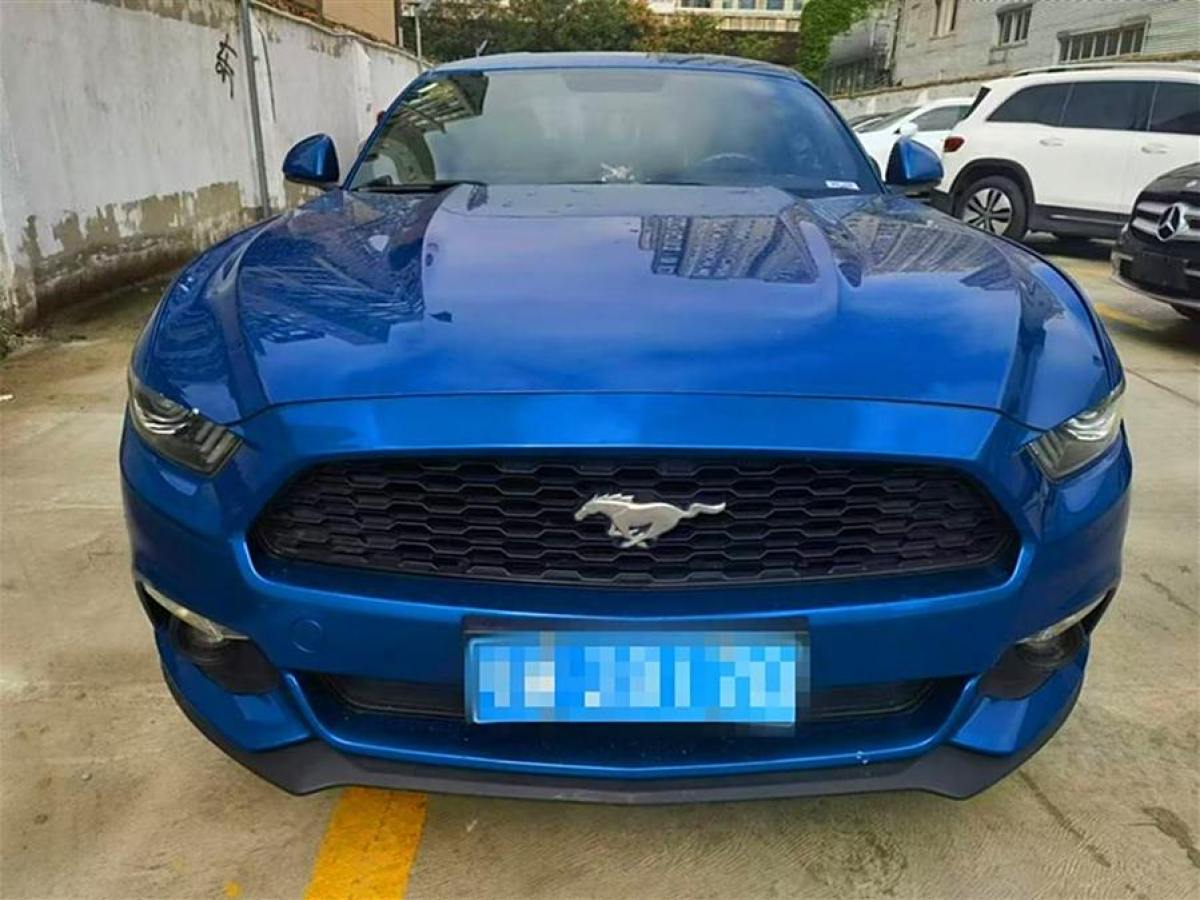 福特 Mustang  2015款 2.3T 性能版圖片