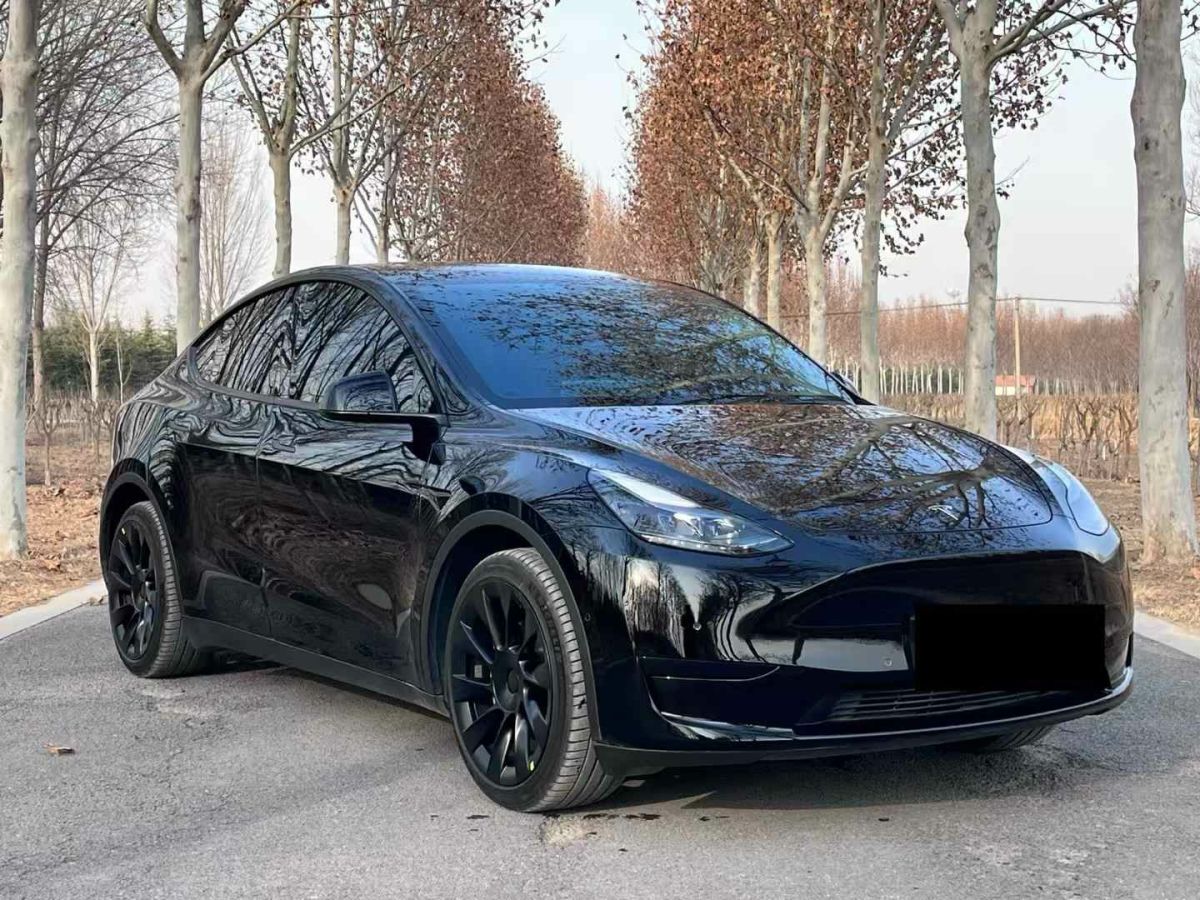 特斯拉 Model S  2023款 三電機全輪驅(qū)動 Plaid版圖片