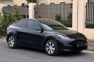 Model S 特斯拉 三電機(jī)全輪驅(qū)動(dòng) Plaid版
