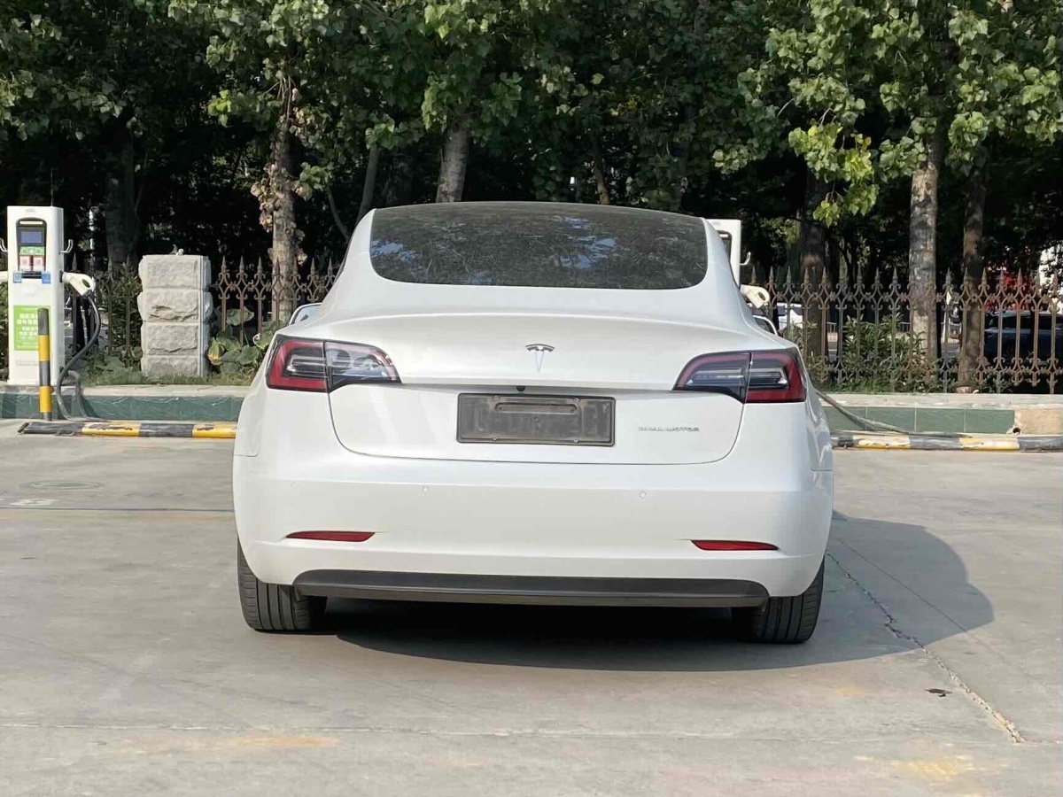 特斯拉 Model Y  2020款 改款 長(zhǎng)續(xù)航后輪驅(qū)動(dòng)版圖片