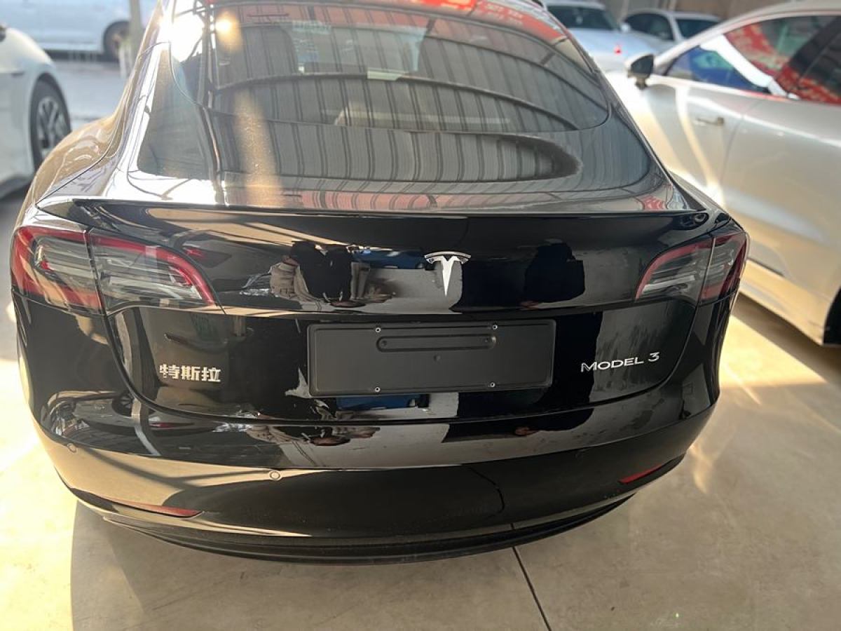 特斯拉 Model 3  2021款 改款 標準續(xù)航后驅(qū)升級版圖片