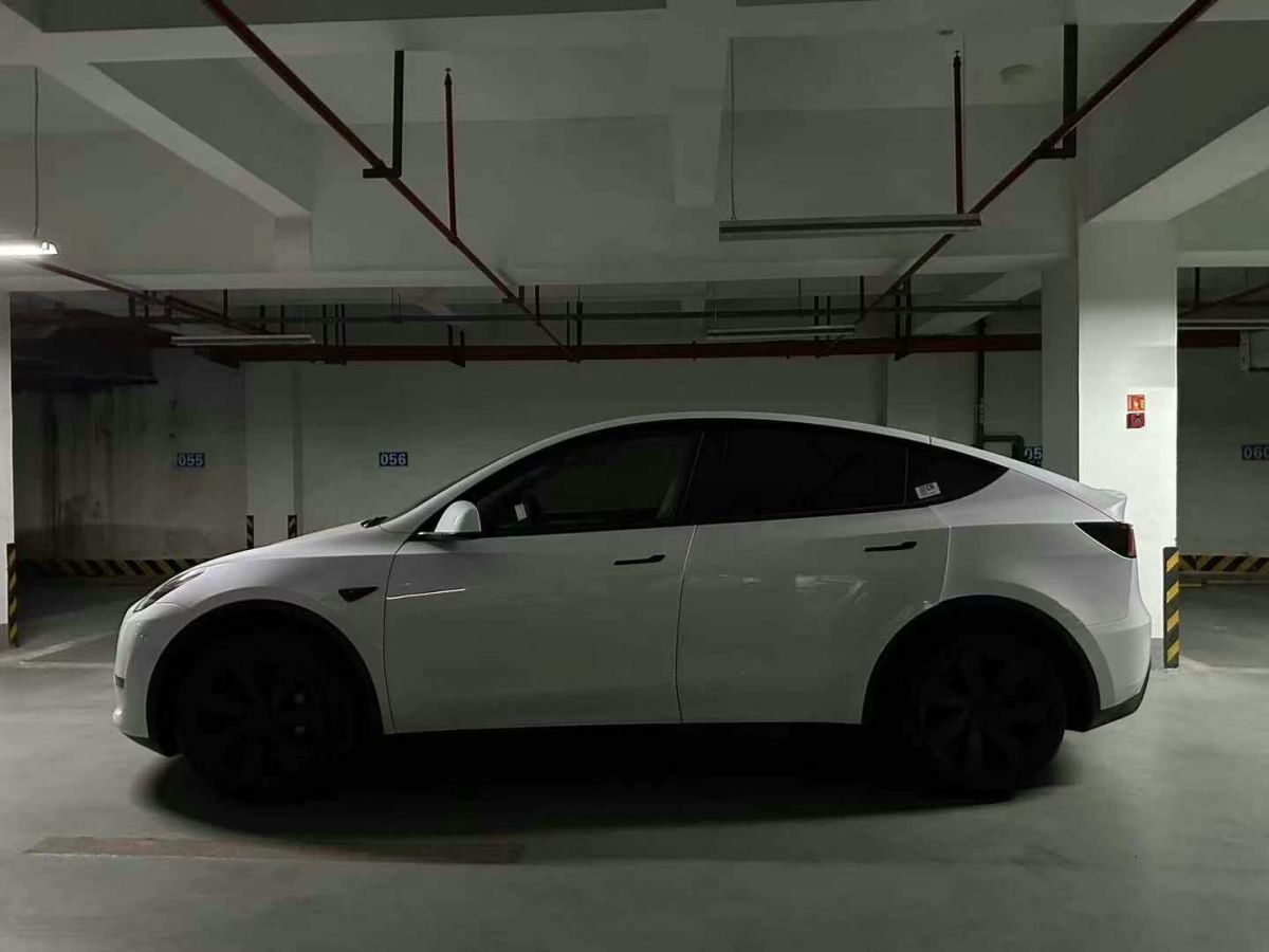 特斯拉 Model Y  2024款 Performance高性能版圖片