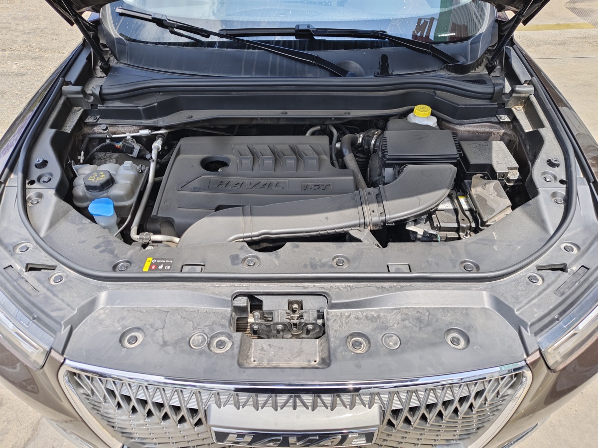 哈弗 H6  2021款 國潮版 1.5T 自動冠軍版圖片