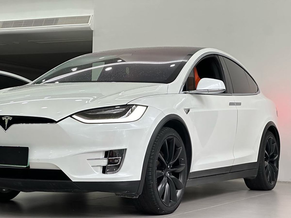 特斯拉 Model X  2017款 Model X 100D 長(zhǎng)續(xù)航版圖片