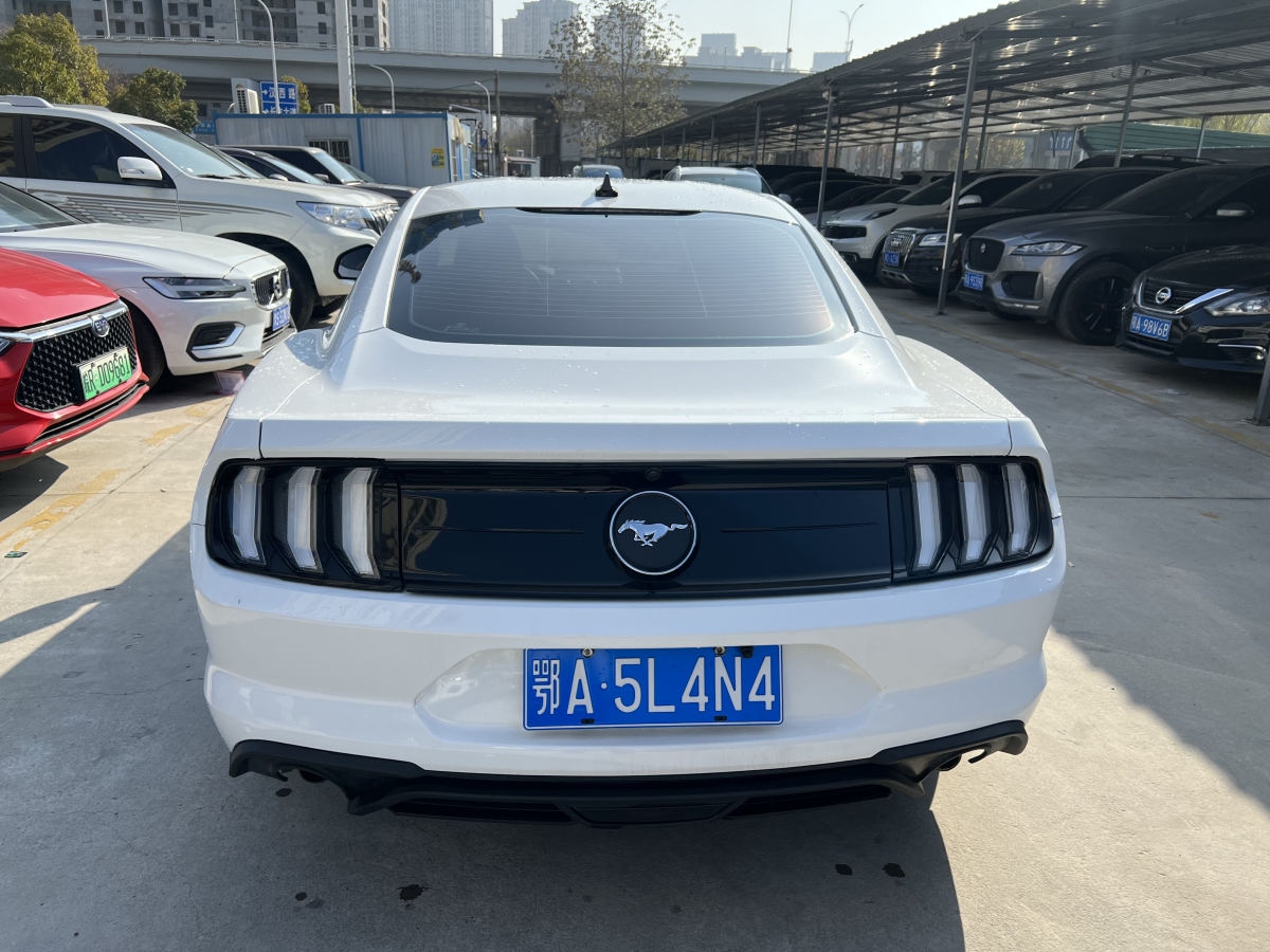 福特 Mustang  2021款 2.3L EcoBoost 黑曜魅影特別版圖片