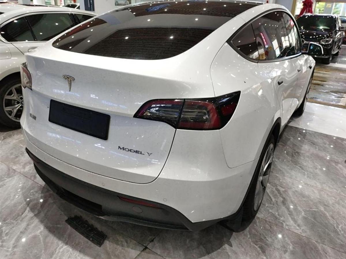 特斯拉 Model 3  2022款 后輪驅(qū)動版圖片