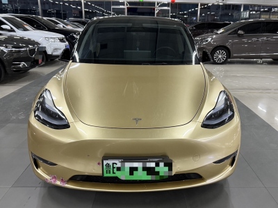 2023年8月 特斯拉 Model Y 高性能全輪驅(qū)動版圖片