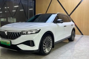 嵐圖FREE 嵐圖 四驅(qū)增程版專屬豪華套裝