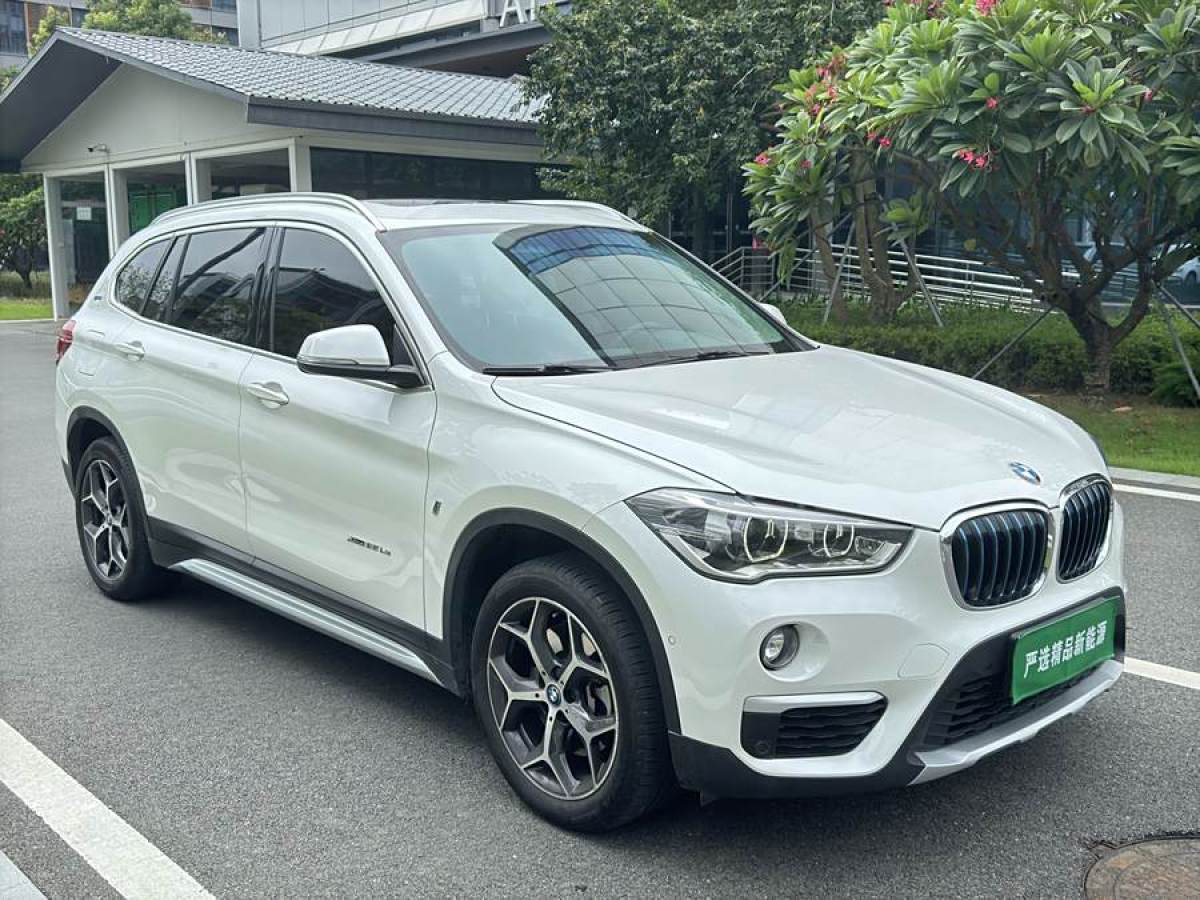 宝马 宝马X1新能源  2018款 xDrive25Le 豪华型图片