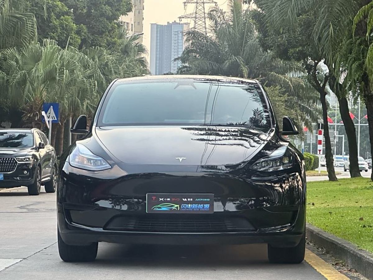 特斯拉 Model Y  2020款 改款 長續(xù)航后輪驅動版圖片