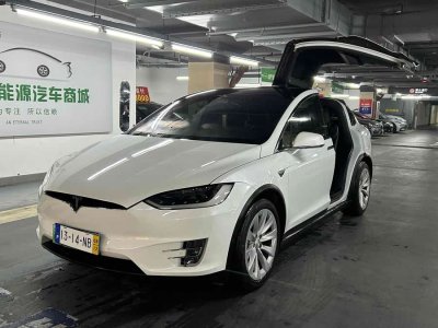2018年6月 特斯拉 Model X Model X 100D 長(zhǎng)續(xù)航版圖片