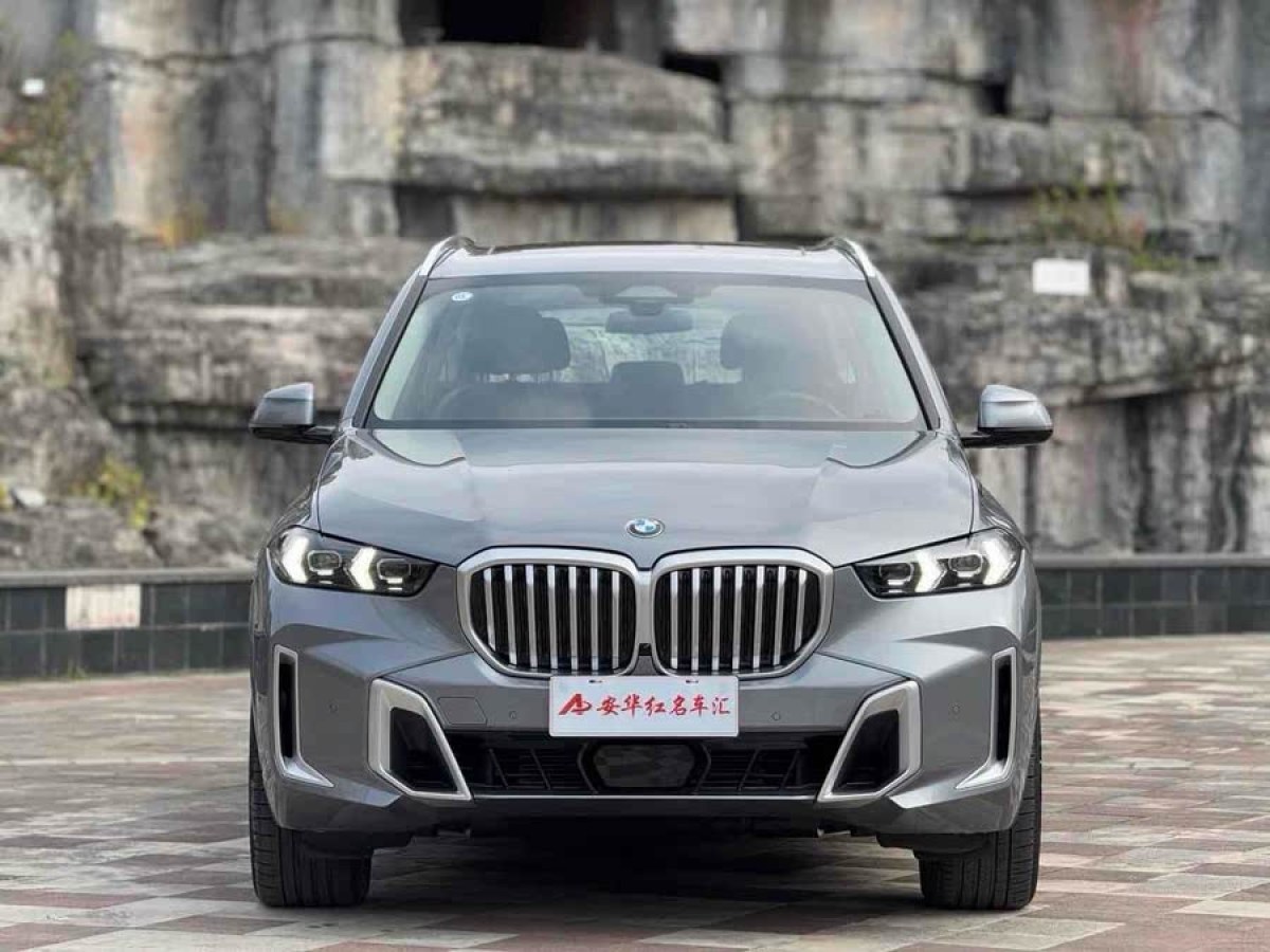 寶馬 寶馬X5  2023款 xDrive 30Li M運(yùn)動(dòng)套裝圖片